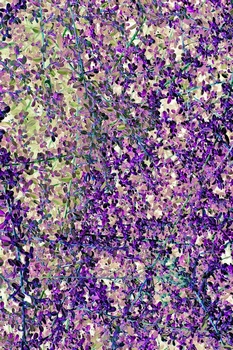 N 191B